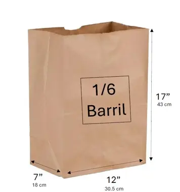 BOLSA 1/6 BL KRAFT SIN ASA  30.5 x 18 x 43 cm (copia)